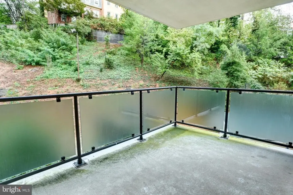Picture 38