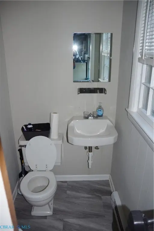 Picture 8