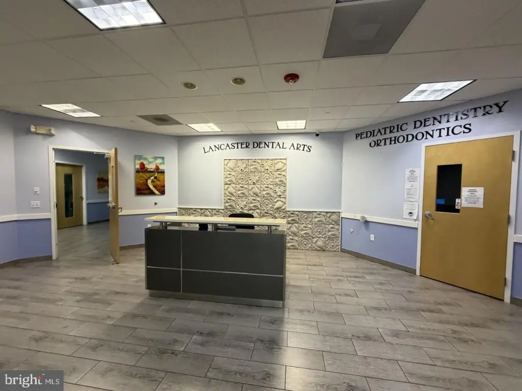 Picture 16