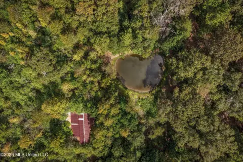 Wooded Hunting Land with Pond