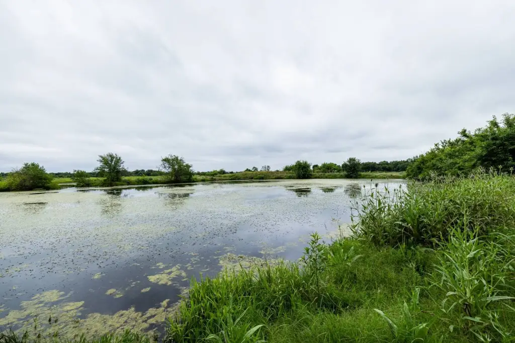 Picture 8