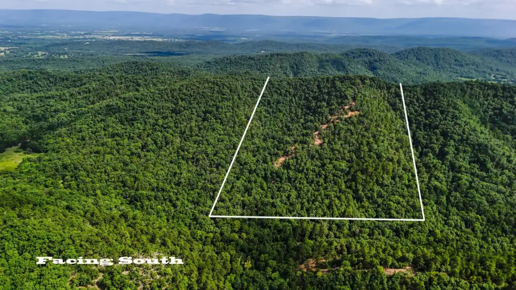 Picture 19