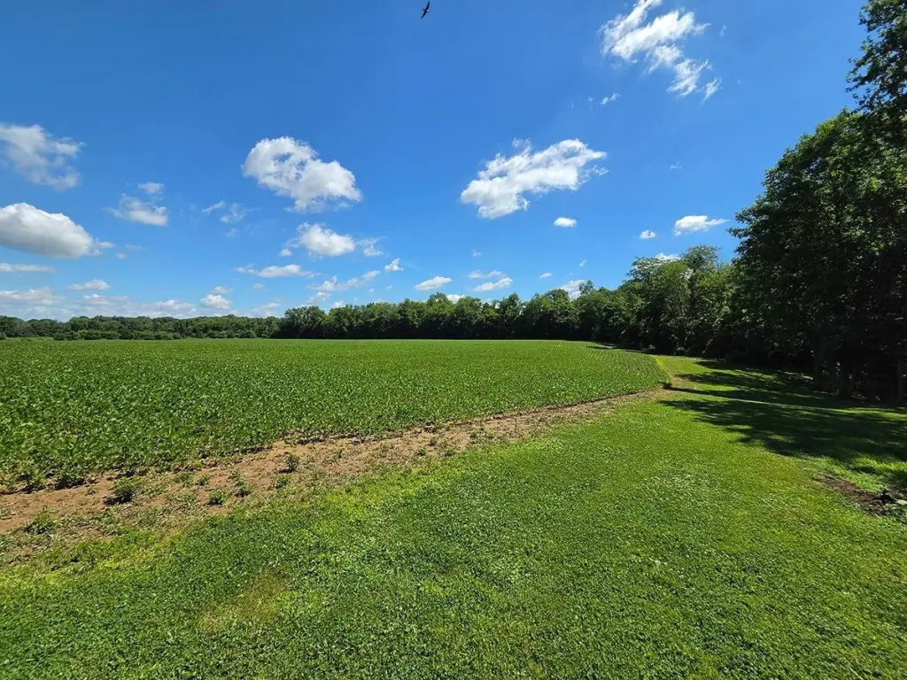 Picture 80