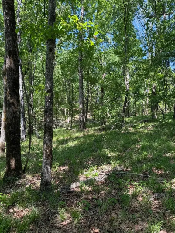 Picture 3