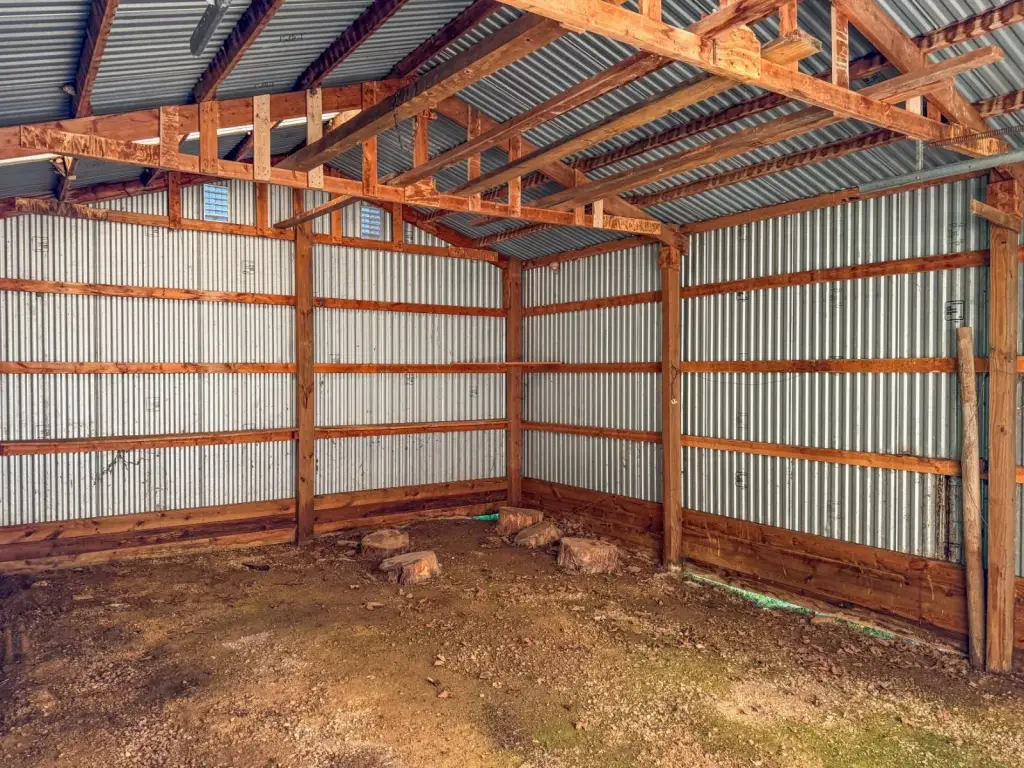 Picture 12