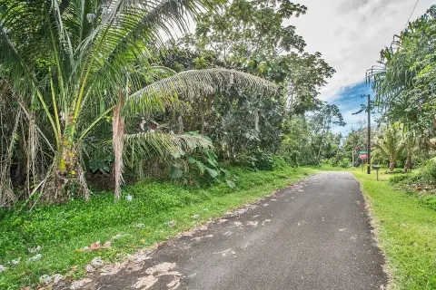 Pahoa Land Near Ocean