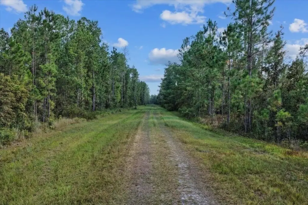 Picture 13