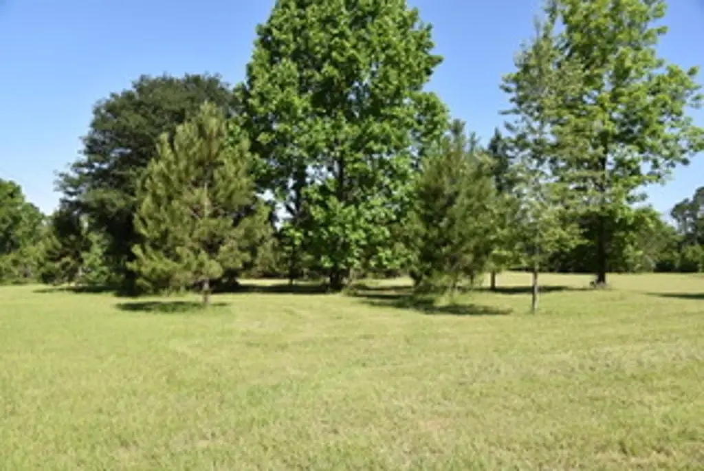 Picture 22
