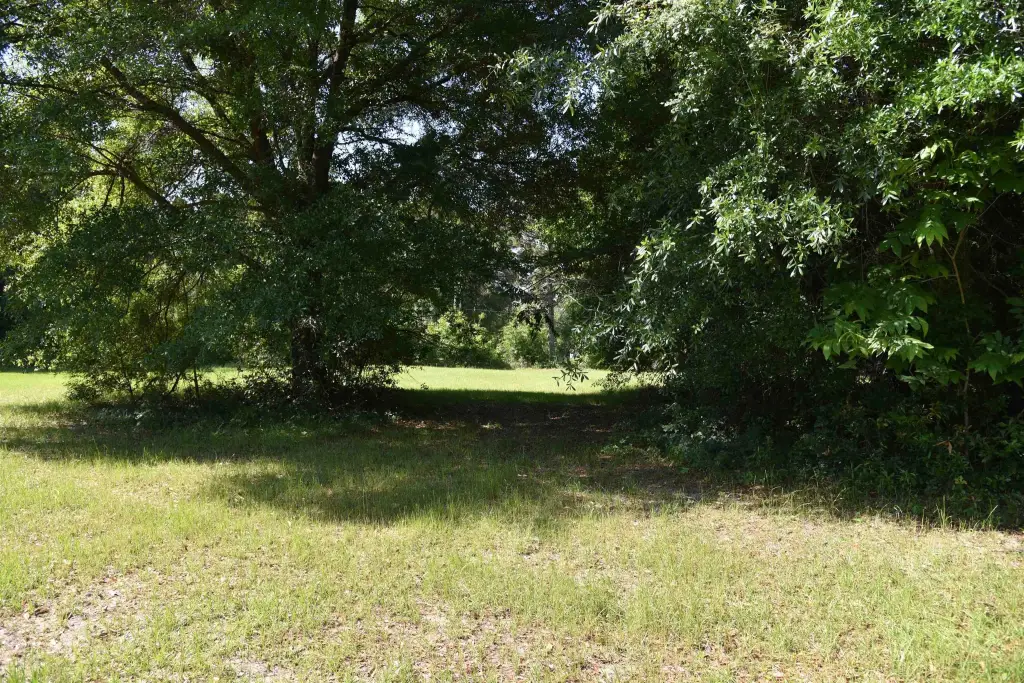 Picture 9