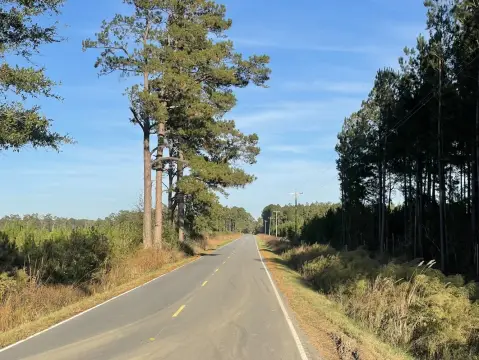 Hemingway Vacant Land For Sale