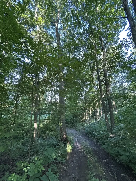 Picture 41