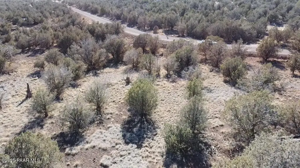 Picture 3