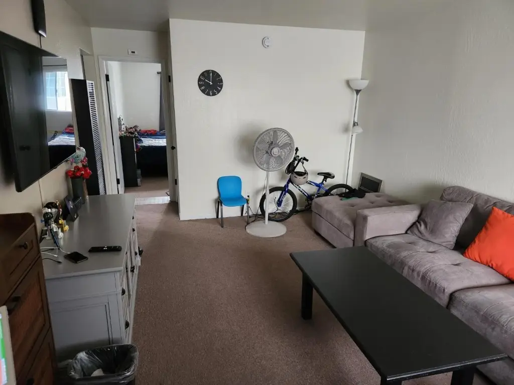 Picture 22