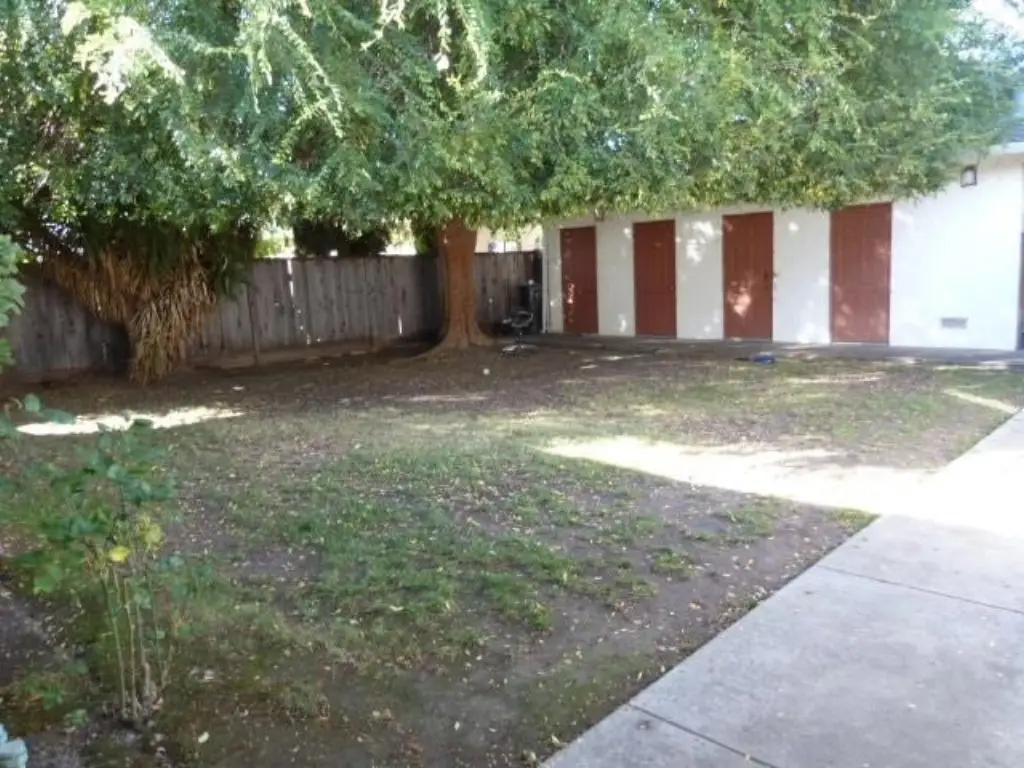 Picture 3