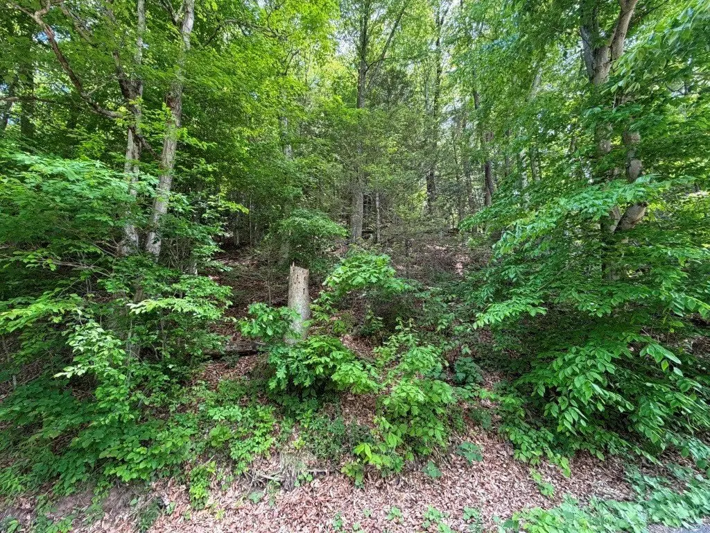 Picture 13