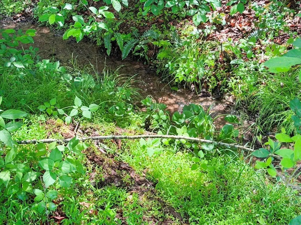 Picture 8