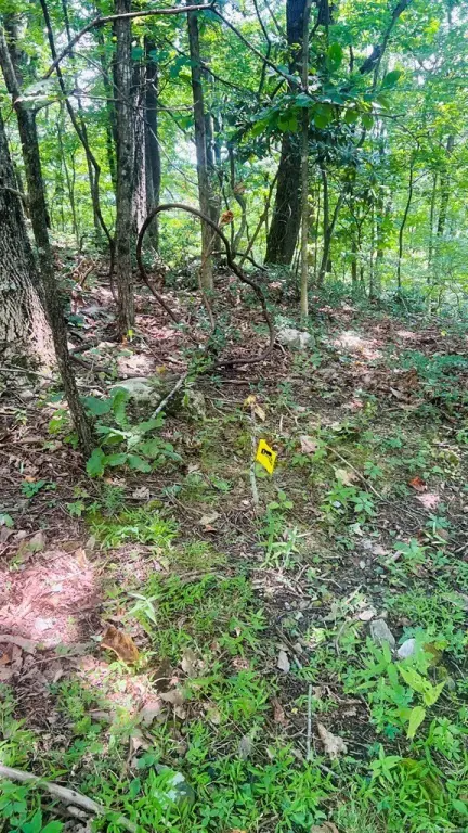 Picture 17