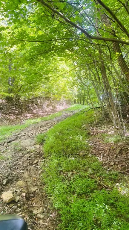 Picture 5
