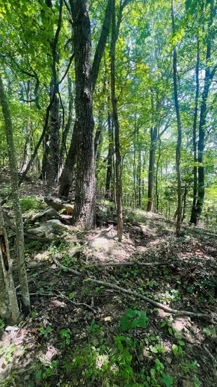Picture 15