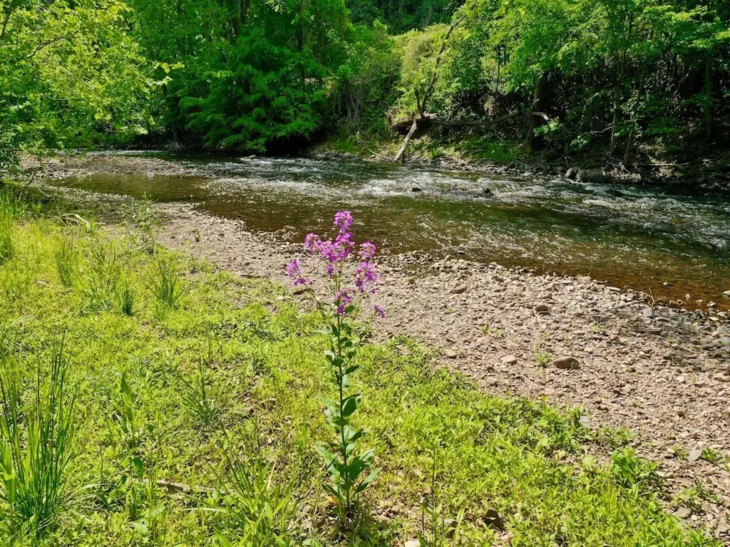 Picture 32