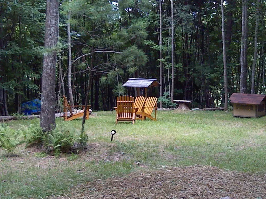 Picture 21