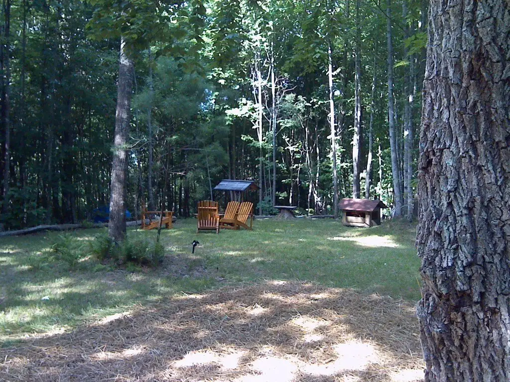 Picture 20