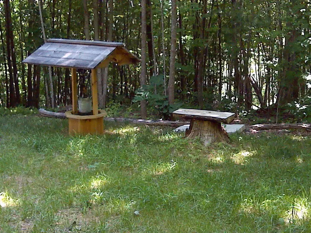 Picture 19