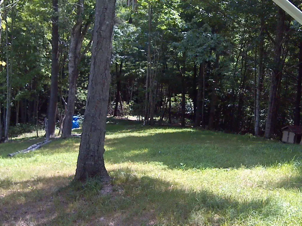 Picture 18