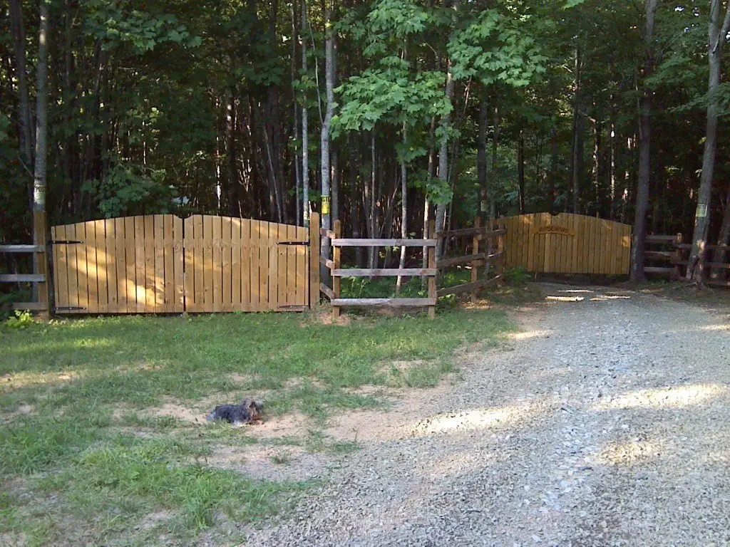 Picture 15