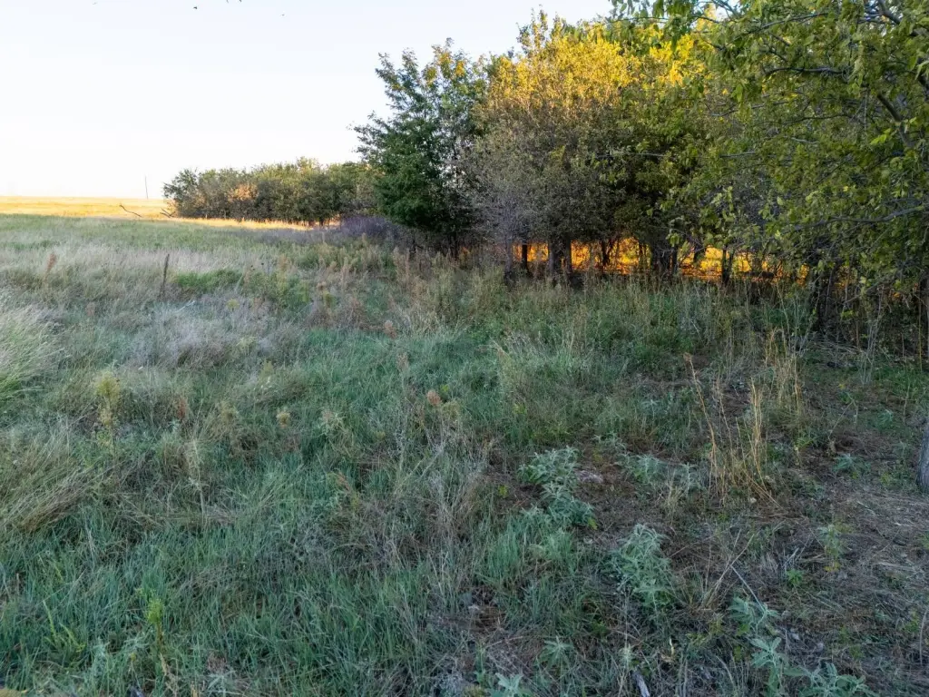 Picture 28