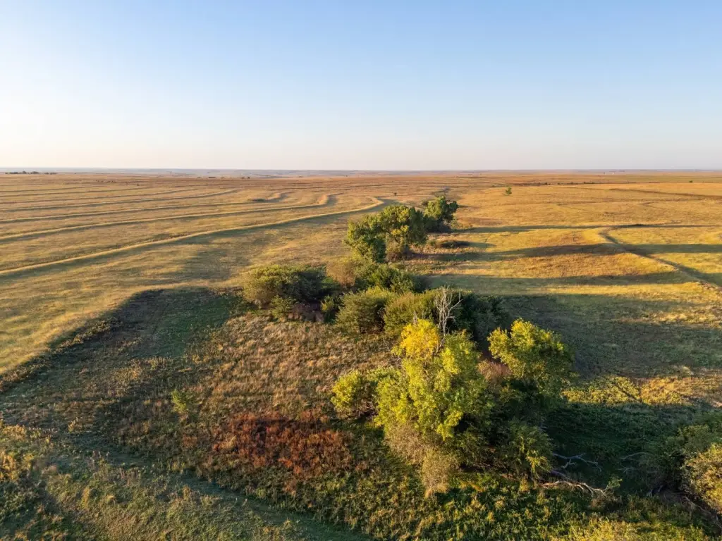 Picture 29