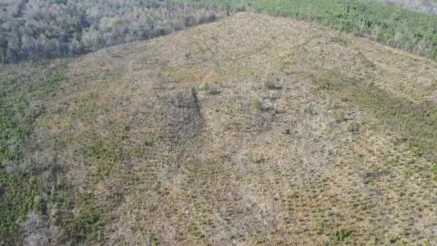 90 Acres Vacant Land