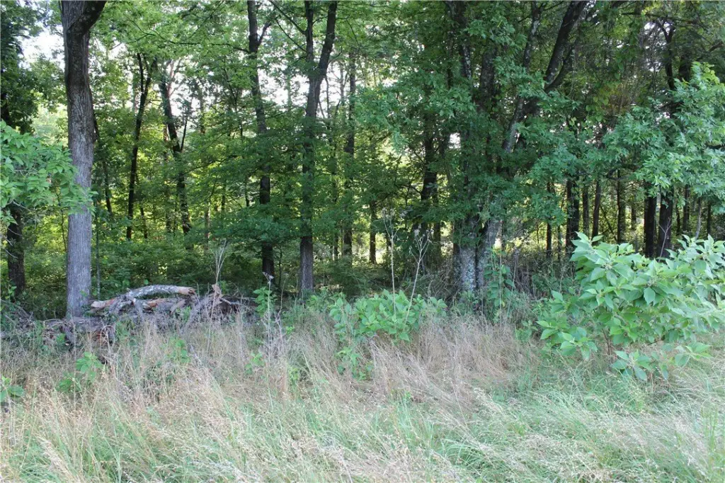 Picture 36