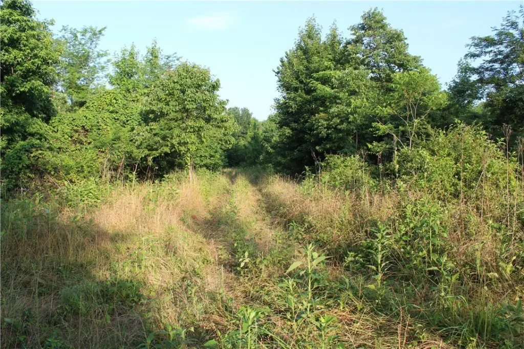 Picture 29