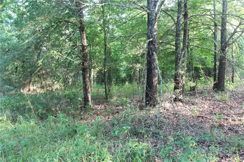 Picture 28