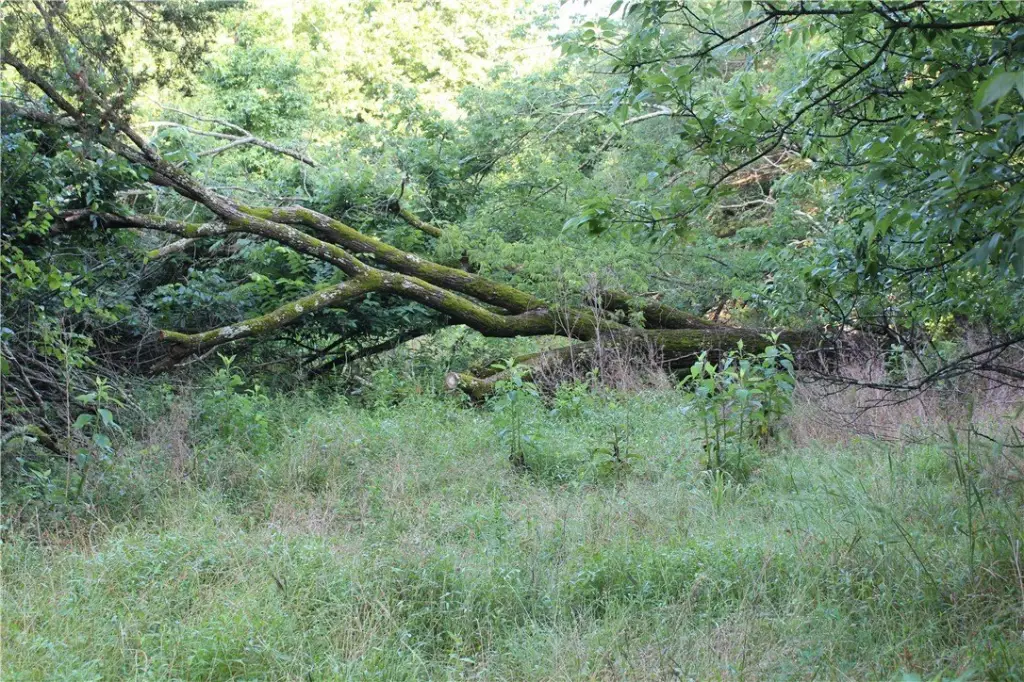 Picture 23