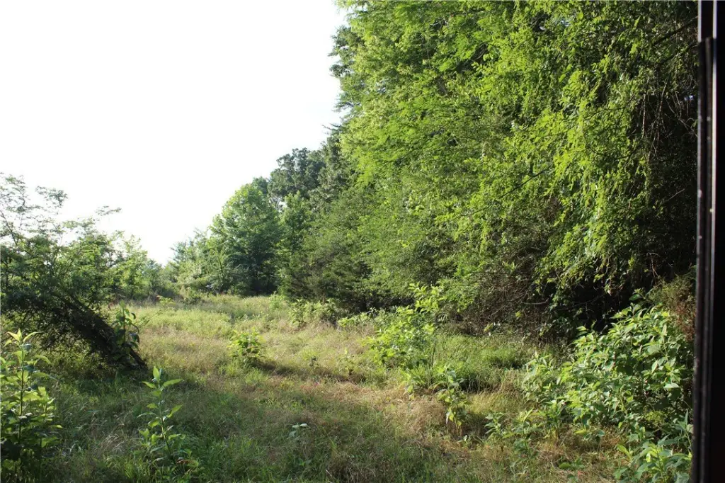 Picture 33