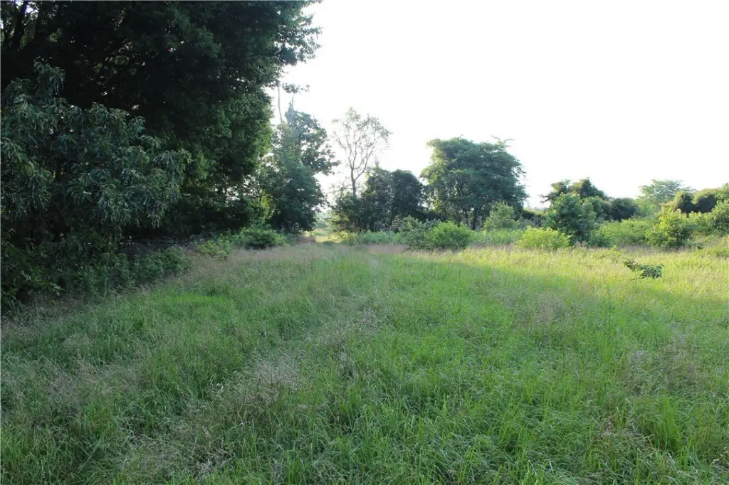 Picture 37
