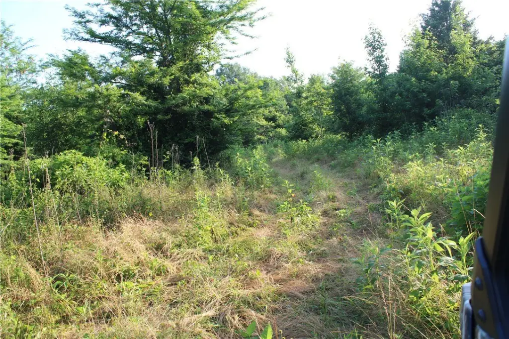 Picture 30