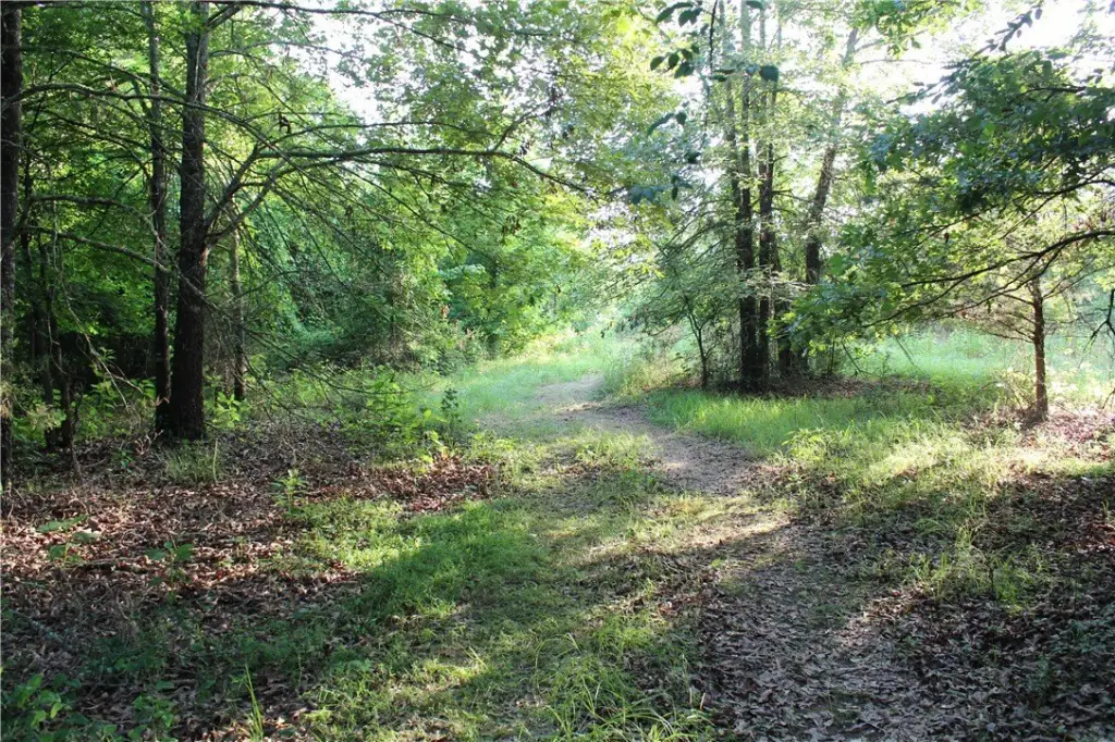 Picture 27