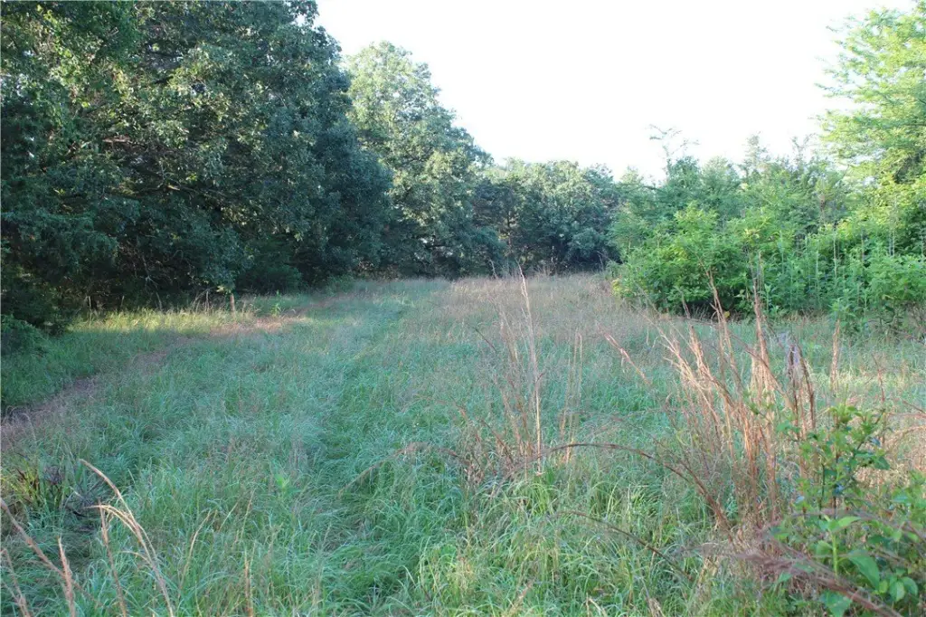 Picture 53