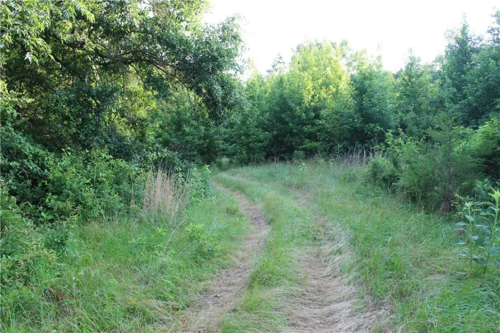 Picture 22