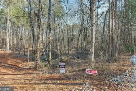 8.4 Acres Wooded Land