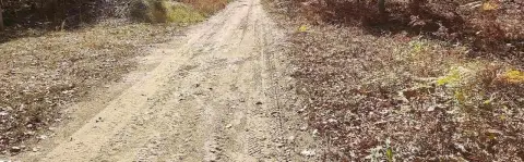 Wooded Hunting Land