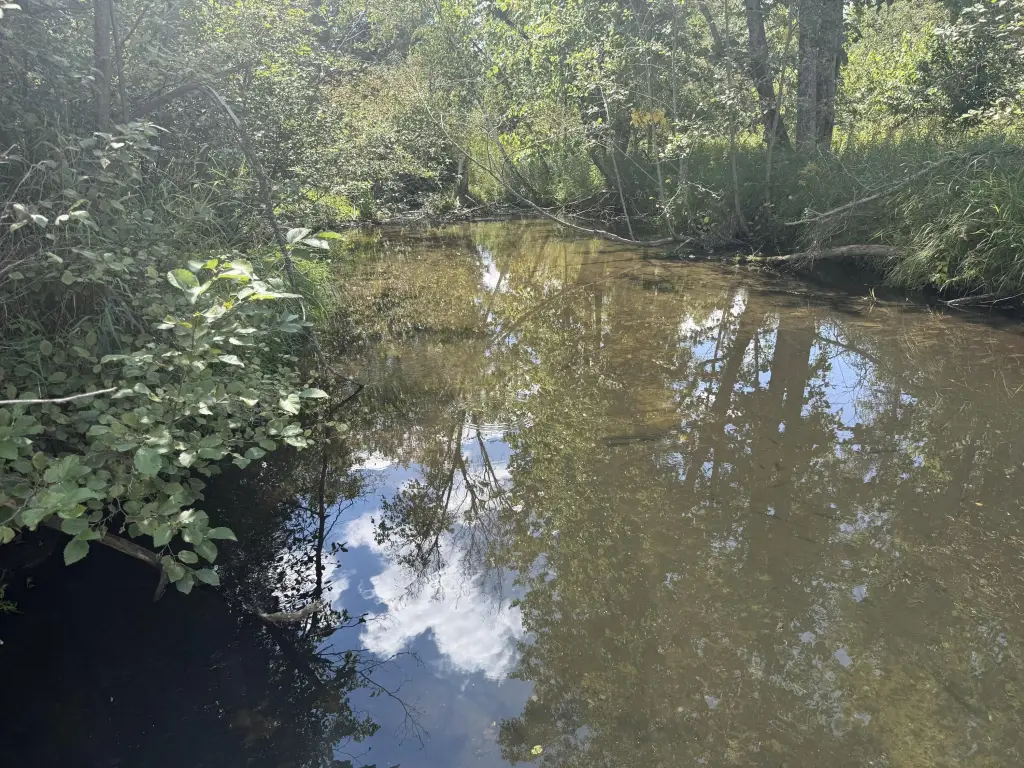 Picture 14