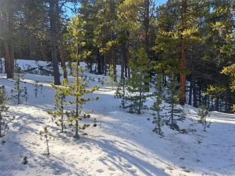 Wooded Land Near Breckenridge Skiing
