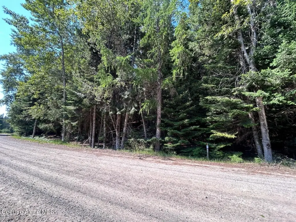 Picture 10