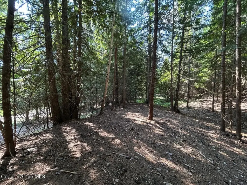 Picture 20