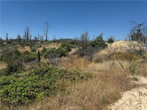 Berry Creek Mountain Top Land