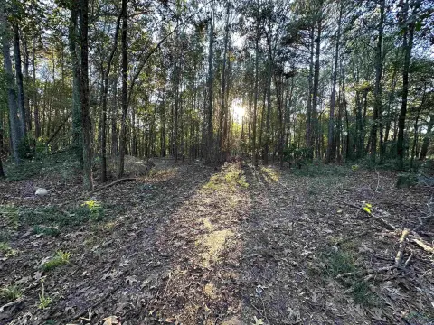 9 Acres Near Gilmer, TX